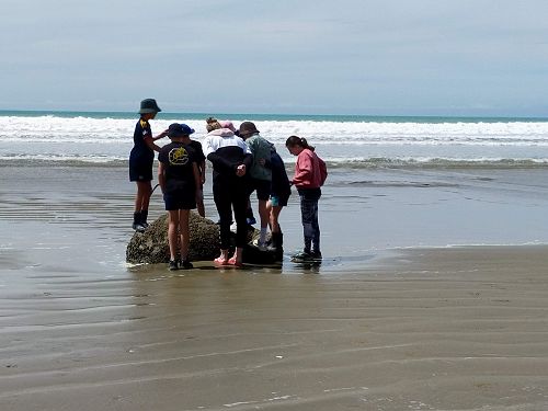 Moeraki boulders