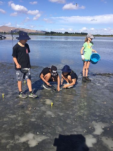 Farani and Pene work on the core sample while Leo and Rosie look on.