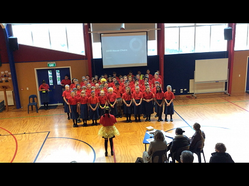 House choirs - Kowhai