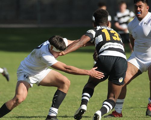 1st XV vs New Plymouth Boys' High School