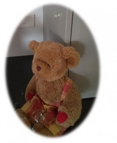 Teddy Robinson from Pohutukawa Room has gone back home and he has been writing letters to the children about his adventures at the beach and making bubbles!