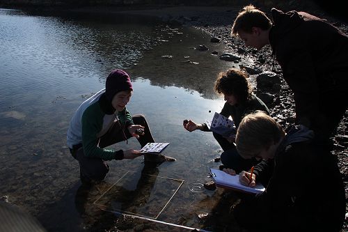 Year 12 Biology Field Trip