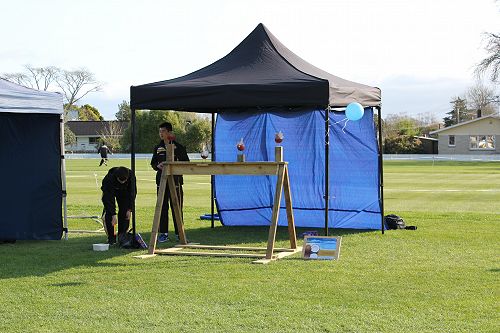 Coconut shy - Hamilton House