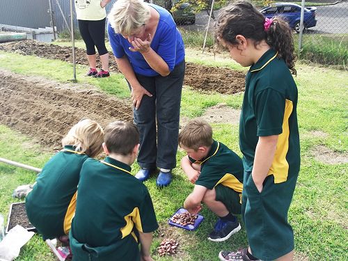 Community Involvment Opportunities - Planting in t