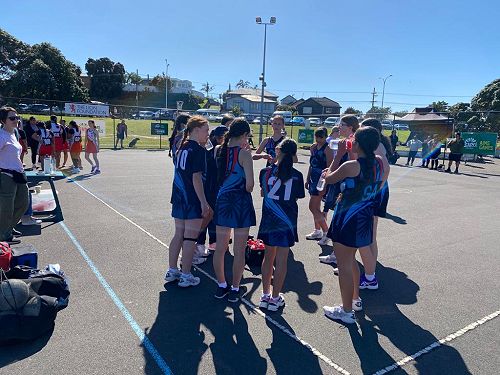 Newlands Intermediate Kauri