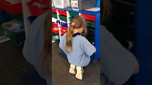 Video: Haku  Wearing a Mask SAIL Video 1 1