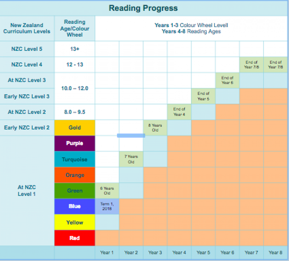 What is a running record newsletter no 3 week 3 term 2 2018