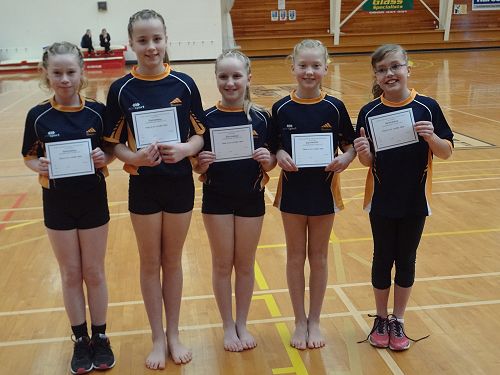 Gymnastics Festival 2016