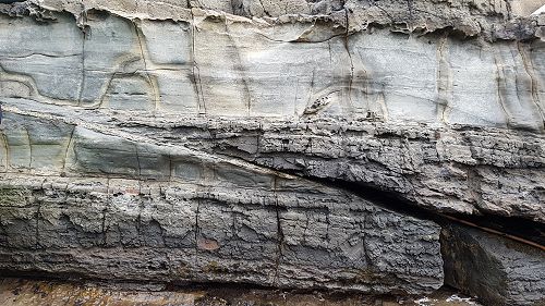 Science Teaching Leadership Programme