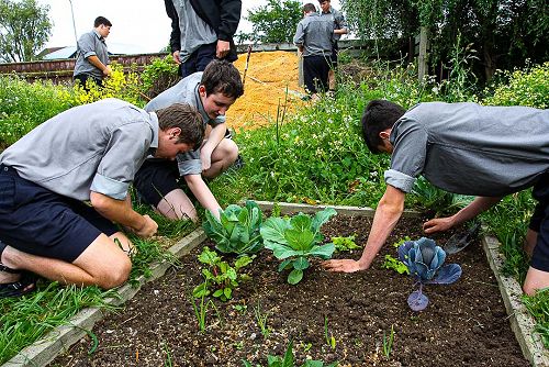 Year 10 Horticulture