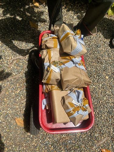 Treasure hunt parcels 