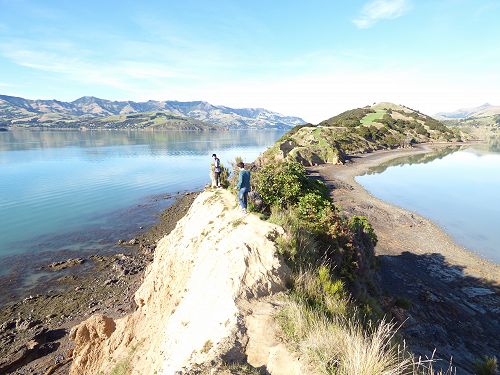 Walking out to the Onawe peninsula, Akaroa.