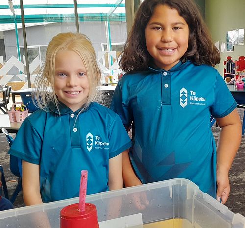 Waka Inquiry - Space 9