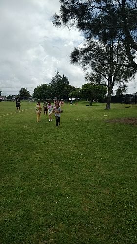 Tauhara Primary Colour Fun Run 2022