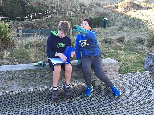 Planting for Penguins