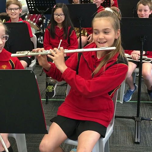 Video: Music Tuition Halswell School