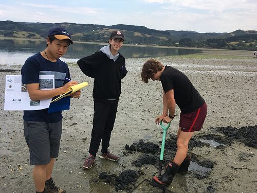 Aidan, Ben & Thomas carrying out sampling
