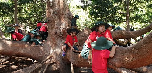 Awa's Trip to the Canterbury Museum
