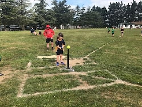 Softball/Teeball 2018