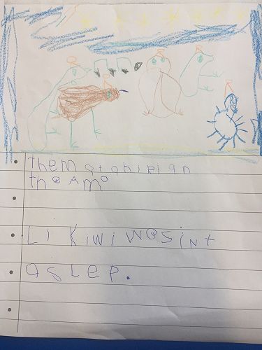 Little Kiwi wasn't asleep (Jesse Bacon)