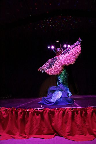 2017 Wearable Arts - Sasha Sutton - "Mythical Bird"