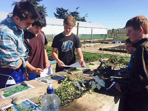 Year 10 Agriculture Day at Aoraki Polytechnic