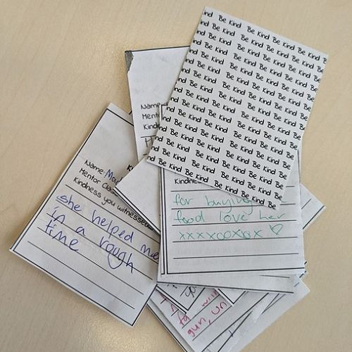 The Secret Kindness Project: What we do