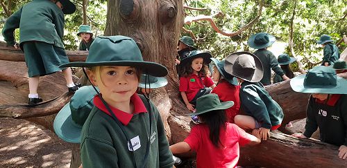 Awa's Trip to the Canterbury Museum