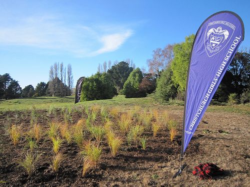 Poipoia te kākano kia puawai - nurture the seed, and it will blossom 