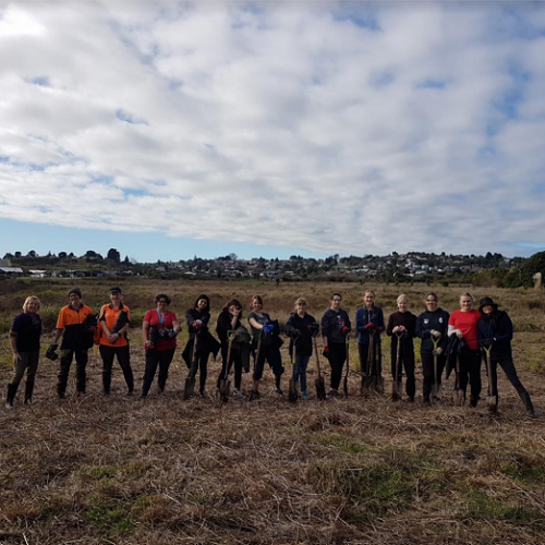 Kaitiakitanga Committee planting trees