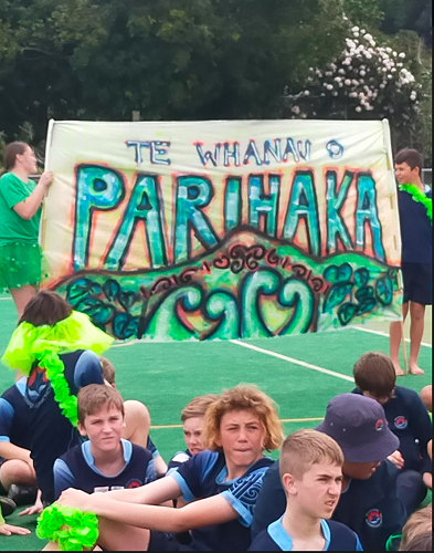 Nice banner Parihaka!