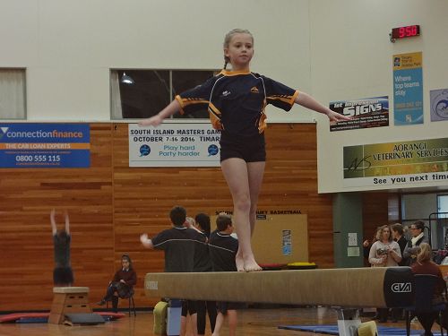 Gymnastics Festival 2016