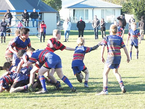 2016 RUGBY UNDER 12 