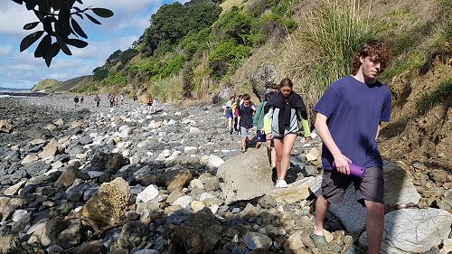 OED201 Mangawhai Walk