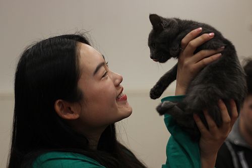 Cat Rescue Dunedin at St Margaret's College