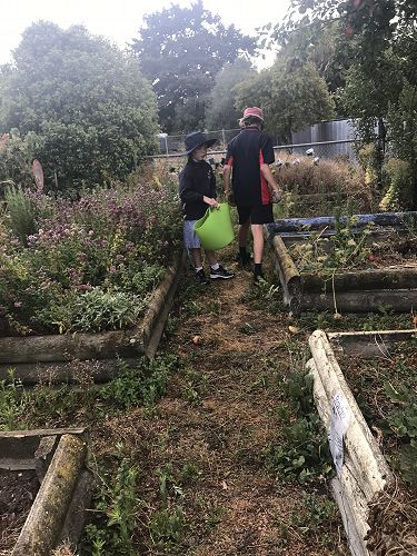 Jonah and Willow in the garden, foraging for apples.
