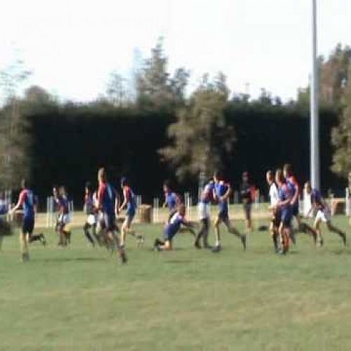 Video: Patrick Stehlin Number 13 - STC vs Christs College
