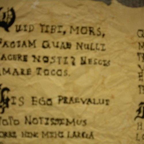 Year 9 Latin Roman Scroll Project