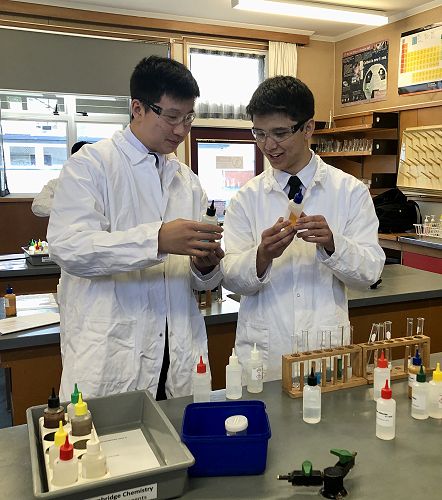 Alex Liu and Alexander Mayo