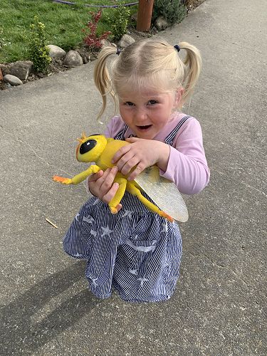 Imogen Croad from Kimbolton Kindergarten is learning all about bees