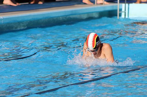 Swimming sport heats