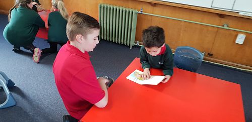 Team Awa and Wairere Buddy Class