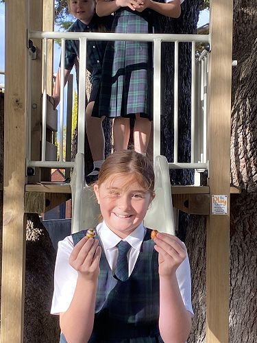 Annabel with her eggs