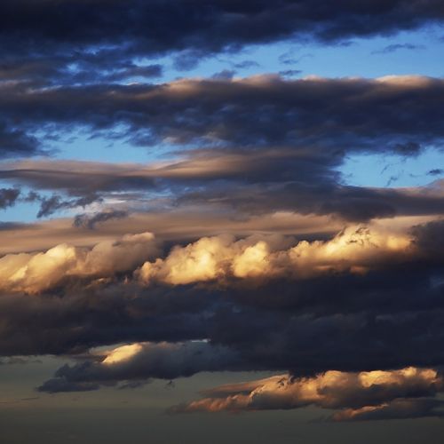 The Sound of Silence by Carlos Biggemann