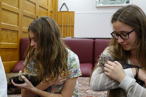 Cuddle Fix - 10 June 2018