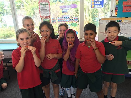Eating tomatoes from the Food Forest