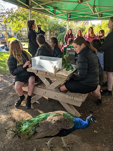 Year 10 Animal Behaviour and Welfare visit Natureland