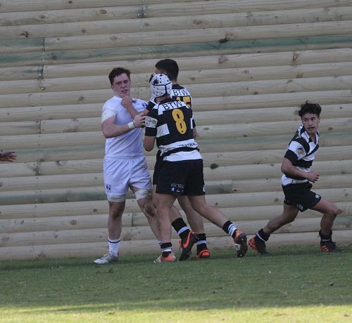 1st XV vs New Plymouth Boys' High School