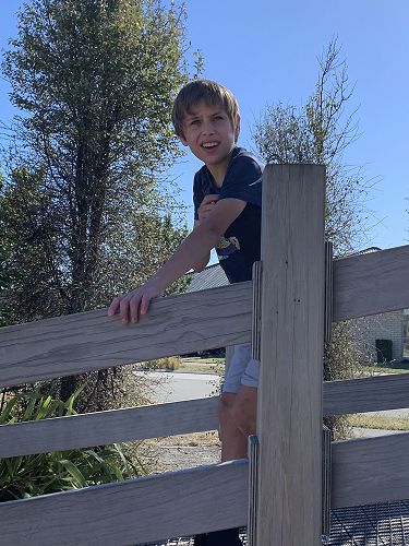 Kaspar surveying the view from up high. 