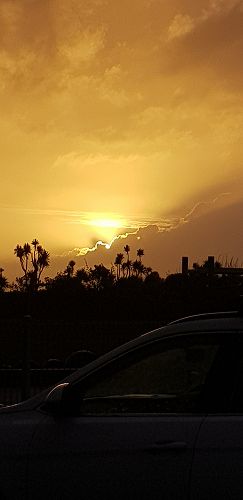 Third place - Susan Johnson